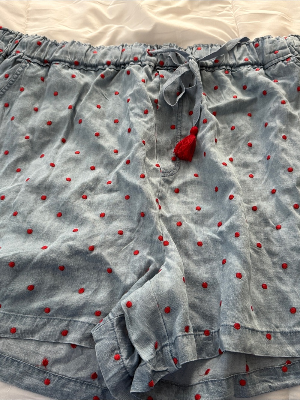 Matilda Jane Light Blue Shorts with Red Polka Embroidery